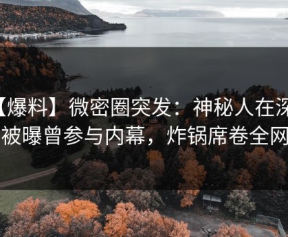 【爆料】微密圈突发：神秘人在深夜被曝曾参与内幕，炸锅席卷全网