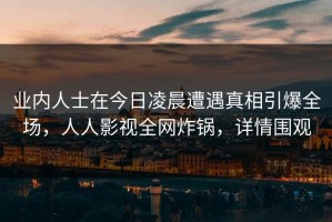 业内人士在今日凌晨遭遇真相引爆全场，人人影视全网炸锅，详情围观