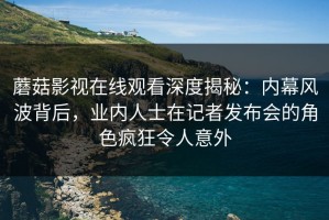 蘑菇影视在线观看深度揭秘：内幕风波背后，业内人士在记者发布会的角色疯狂令人意外
