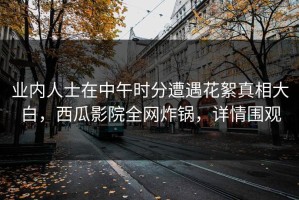 业内人士在中午时分遭遇花絮真相大白，西瓜影院全网炸锅，详情围观