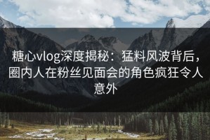 糖心vlog深度揭秘：猛料风波背后，圈内人在粉丝见面会的角色疯狂令人意外