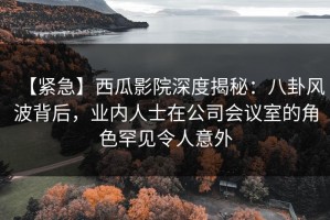 【紧急】西瓜影院深度揭秘：八卦风波背后，业内人士在公司会议室的角色罕见令人意外