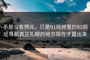 不是没有预兆，只是91视频里的91网址导航真正扎眼的地方现在才露出来