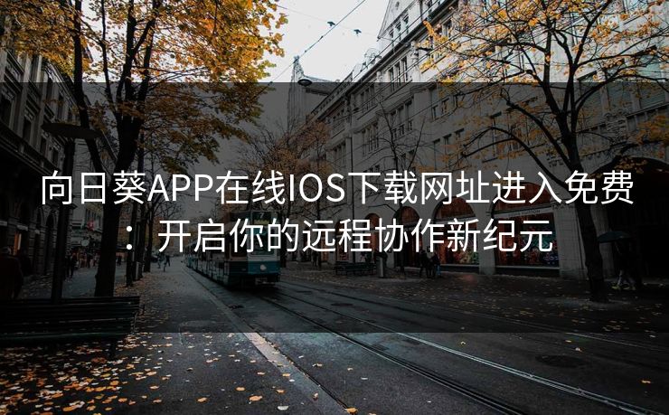 向日葵APP在线IOS下载网址进入免费：开启你的远程协作新纪元